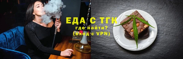 индика Козельск
