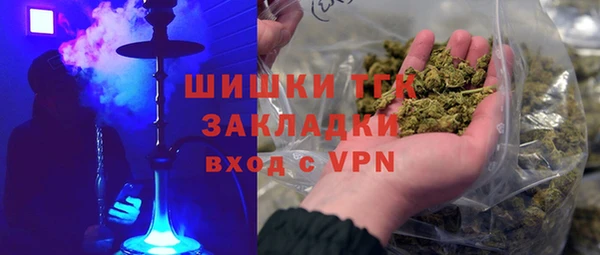 индика Козельск