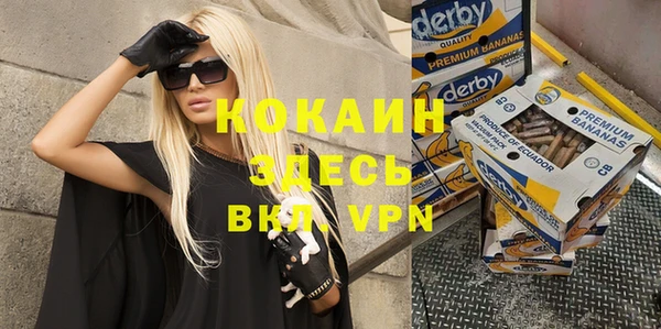 индика Козельск