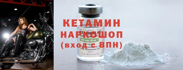 индика Козельск