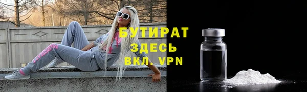 индика Козельск