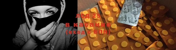 индика Козельск