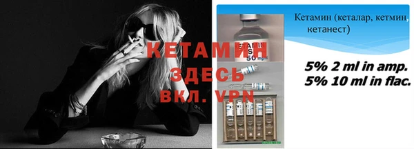 индика Козельск