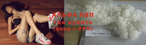 индика Козельск