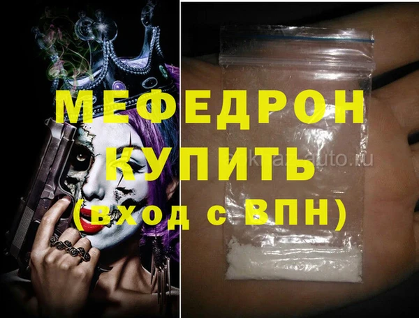 индика Козельск