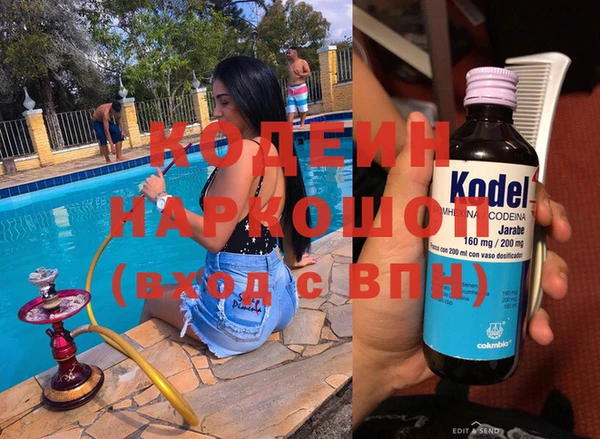 индика Козельск