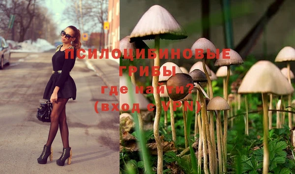 дистиллят марихуана Кодинск