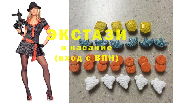 индика Козельск