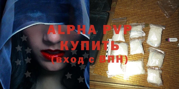 индика Козельск