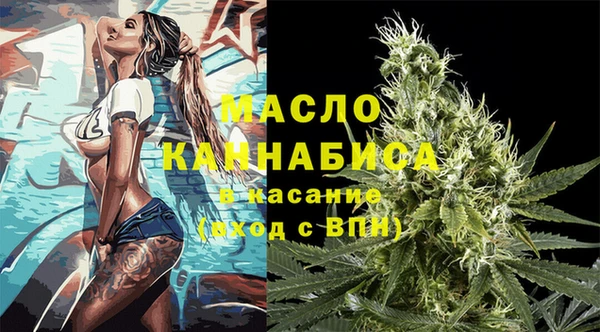 индика Козельск