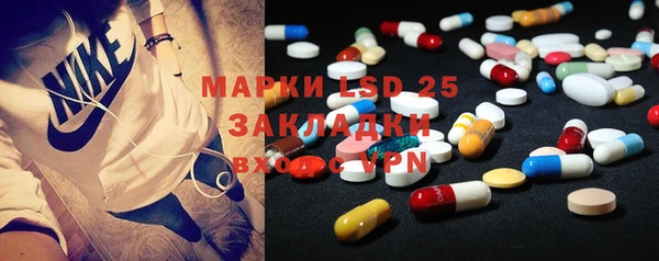 индика Козельск