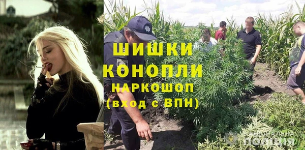 индика Козельск