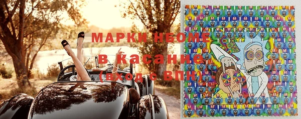 индика Козельск