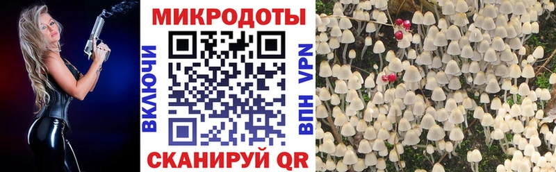 Псилоцибиновые грибы мухоморы  Вышний Волочёк 